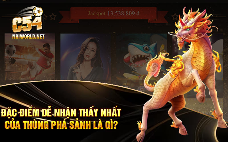 Đặc điểm dễ nhận thấy nhất của thùng phá sảnh là gì? Đặc điểm dễ nhận thấy nhất của thùng phá sảnh là gì?